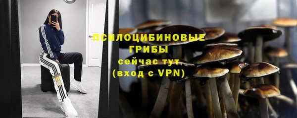 кокаин перу Белокуриха
