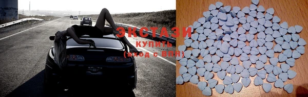 спайс Богданович