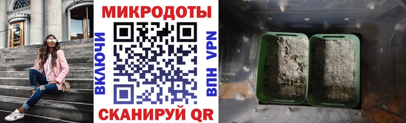 Галлюциногенные грибы Psilocybe  наркотики  Бодайбо 